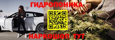 прущие крисы Ирбит
