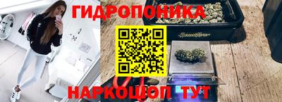 прущие крисы Ирбит