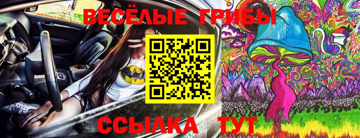 Галлюциногенные грибы GOLDEN TEACHER  Псилоцибиновые грибы Psilocybine cubensis  Вход с VPN  Курчатов 
