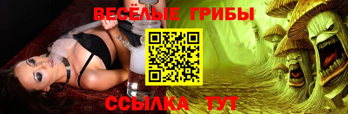 Галлюциногенные грибы MAGIC MUSHROOMS Курчатов